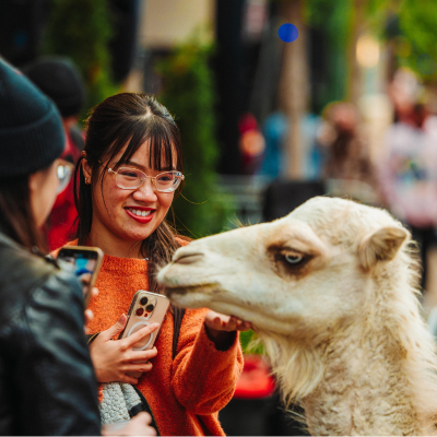 Two young women petting a llama at a fall festival.