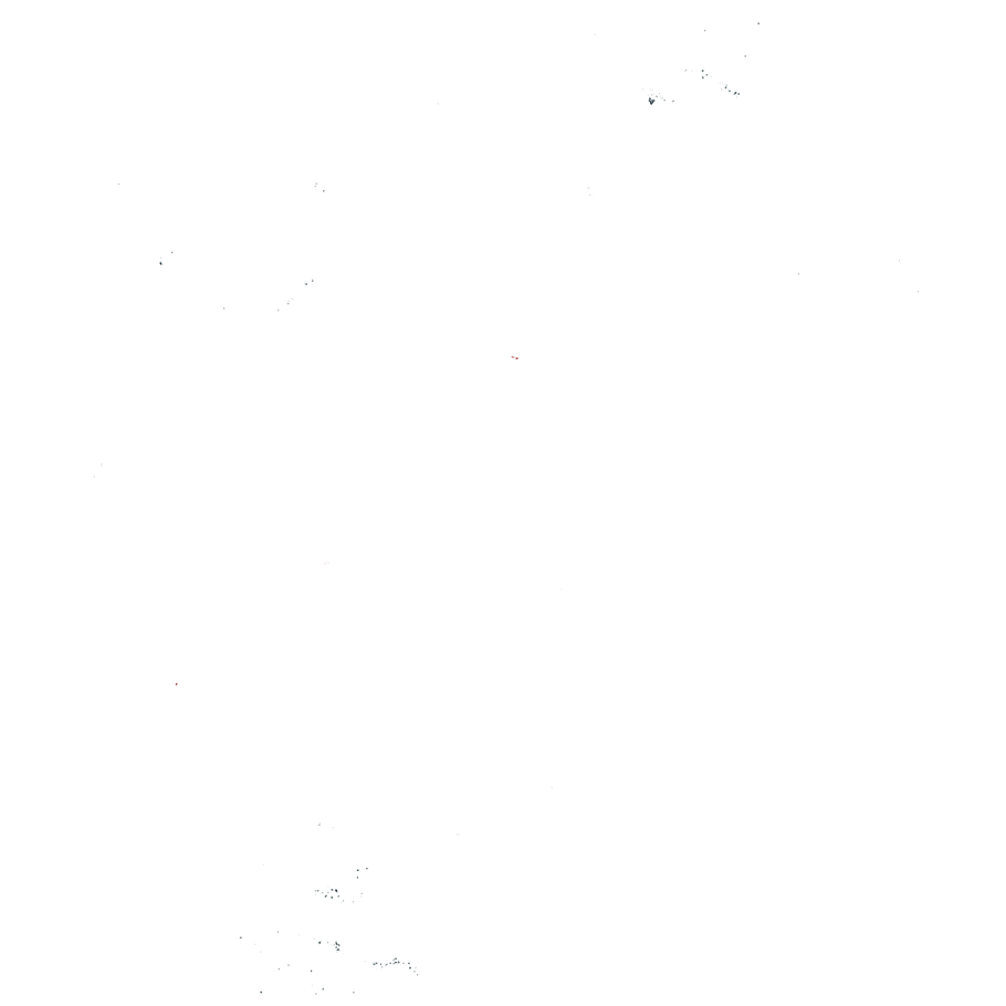 PZB_white _ logo
