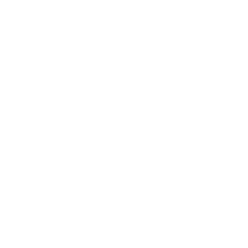 Kansas City Power & Light District white logo